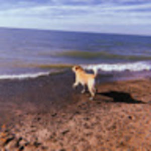 Meet your Posher, Jodie